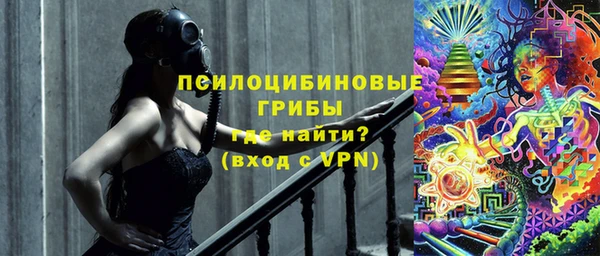 сатива Алексеевка